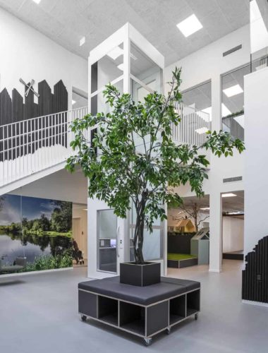 Indretning af institutioner